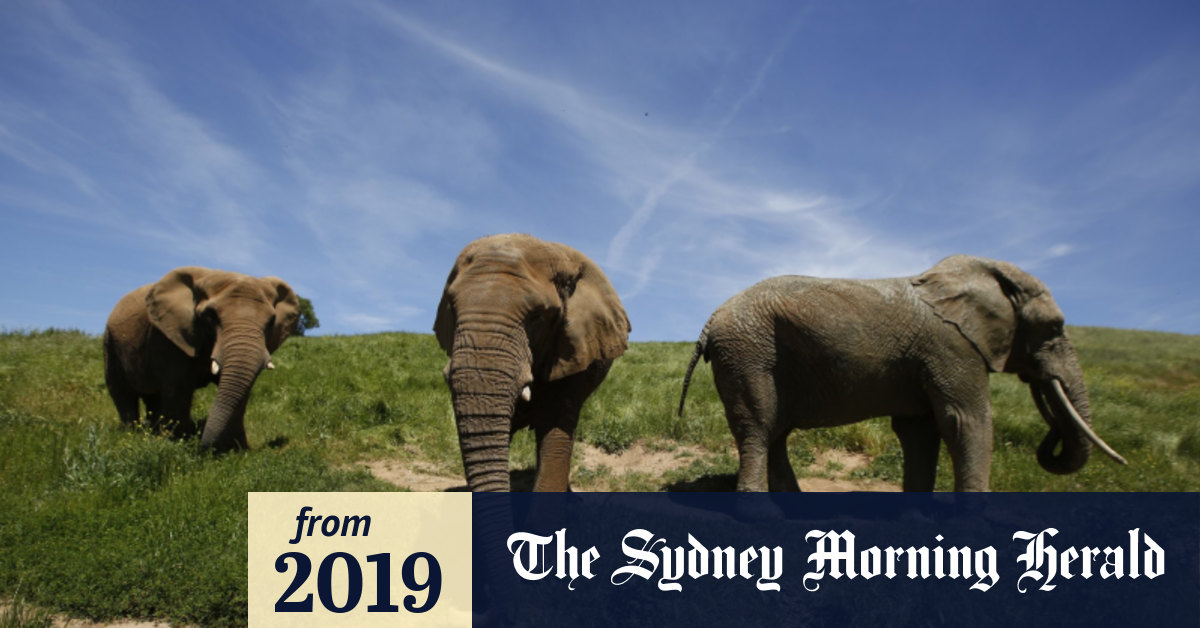 Gallery Best of the world